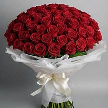 Букет 101 Красная роза Блэк Мэджик в Пильне