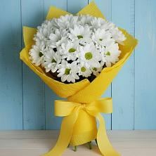 Букет цветов из:  Хризантемы в Пильне