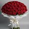 Букет 101 Красная роза Блэк Мэджик в Пильне