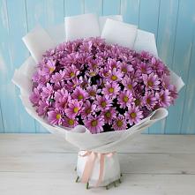 Букет цветов из:  Хризантемы в Пильне