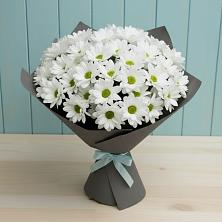 Букет цветов из:  Хризантемы в Пильне