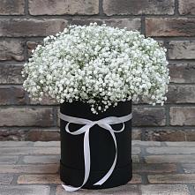 Цветочная композиция из Гипсофила в шляпной коробке #REPLACE_PRED# Пильне