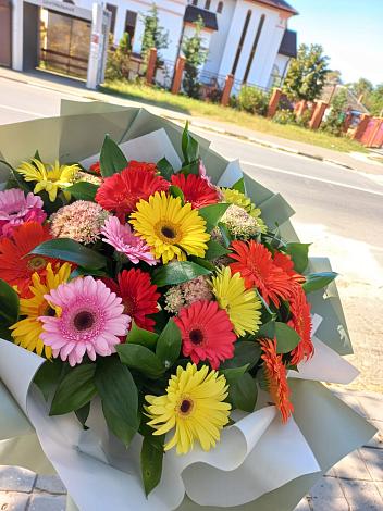Букет цветов из: Герберы в Пильне