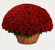 Премиум букет из: Розы в Пильне