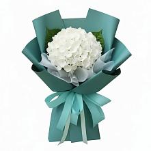 Букет цветов из:  Гортензия #REPLACE_PRED# Пильне